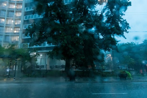 A severe thunderstorm battered Chicago neighborhoods, on Aug. 10, 2020. (Tyler LaRiviere/Sun-Times/Chicago Sun-Times via AP)