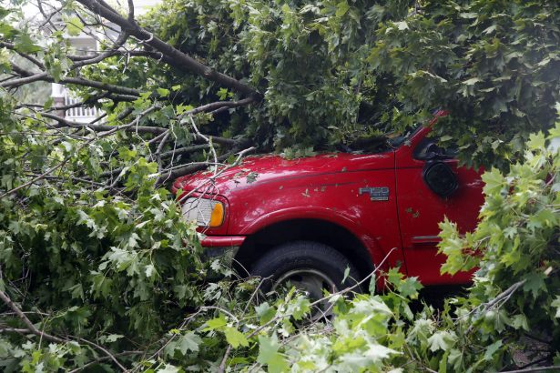 A truck is covered by fallen trees in Cedar Rapids after a powerful storm with straight-line winds moved through Iowa, on Aug. 10, 2020. (Liz Martin/The Gazette via AP)