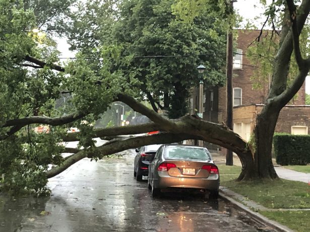 Part of a tree that had split at the trunk lies on a road in Oak Park, while also appearing not to have landed on a car parked on the road, after a severe storm moved through the Chicago area, Ill., on Aug. 10, 2020. (Dave Zelio/AP Photo)