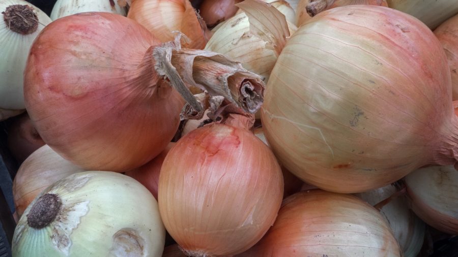 Salmonella Outbreak Linked to Onions Expands to Hundreds of People Sickened in 43 States