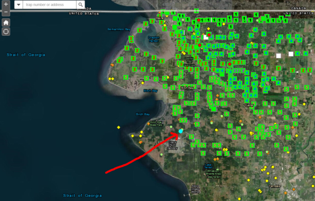 (Courtesy of the <a href="https://agr.wa.gov/about-wsda/news-and-media-relations/news-releases?article=31413">Washington State Department of Agriculture</a>)