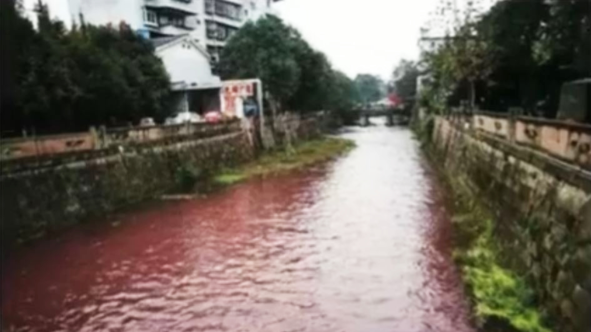 Chinese River Tainted, Turned Blood Red