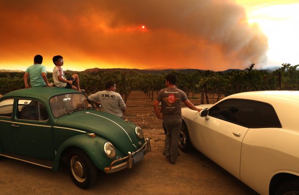 Local residents sit next to a vineyard