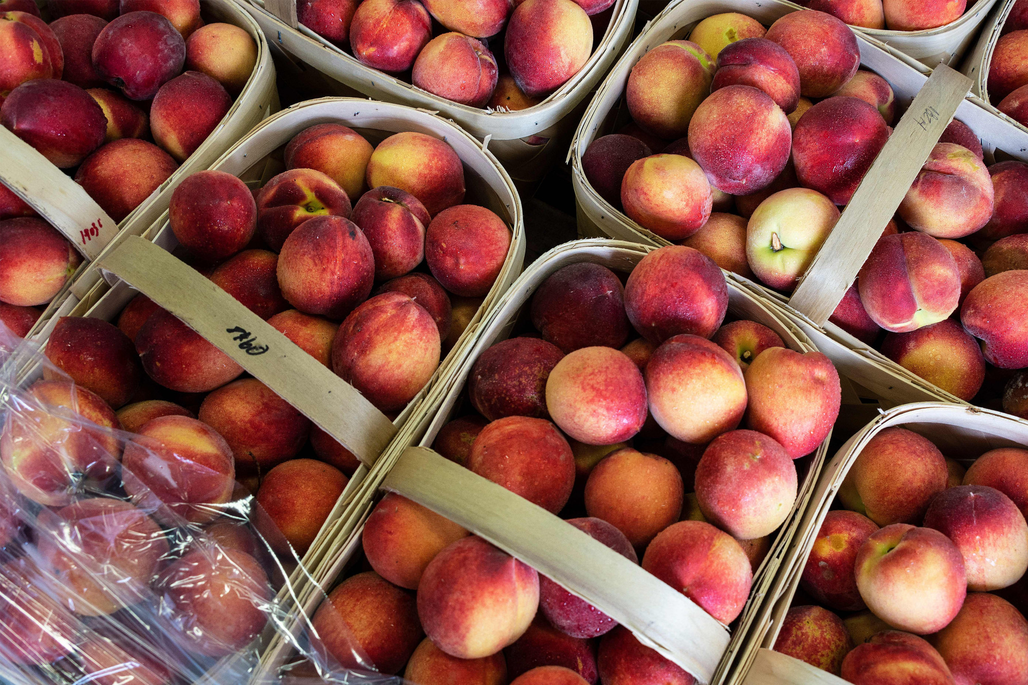 Peaches May Be Linked to Salmonella Outbreak That Has Sickened 68 People in 9 States