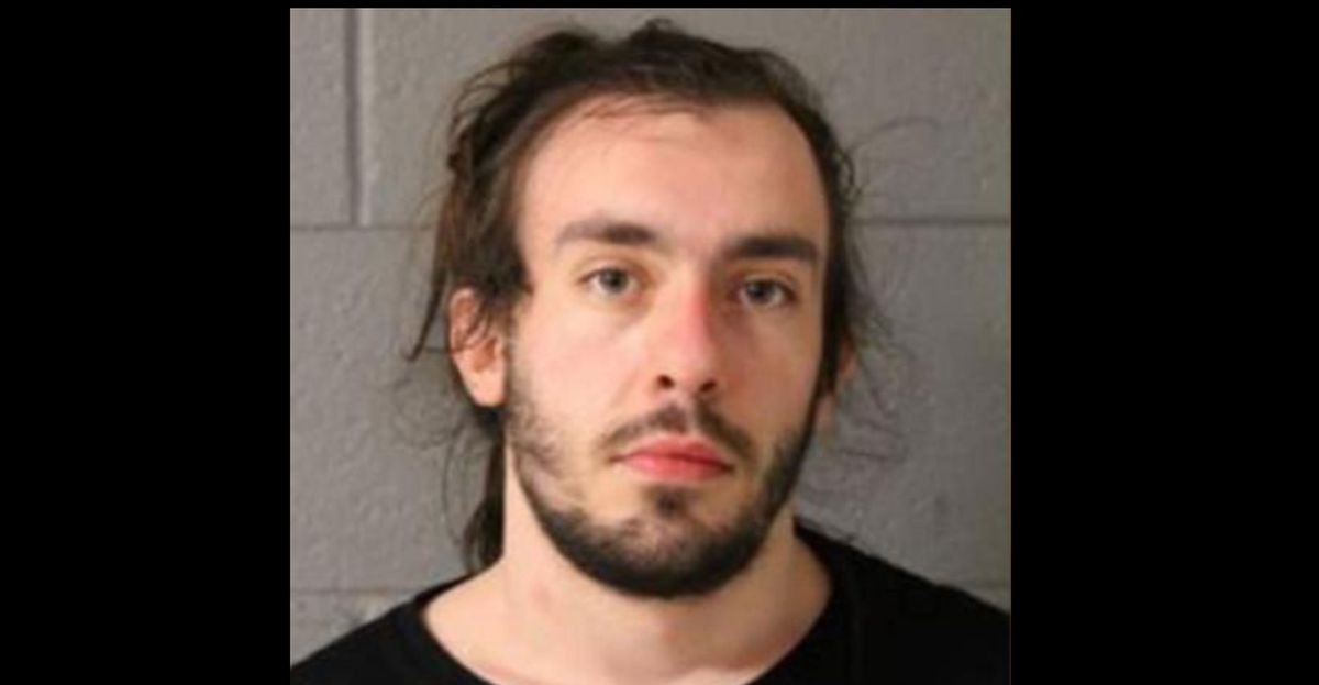 Vincent J. Sessler was charged with disorderly conduct, reckless conduct and battery to a peace officer. (Illinois State Police)