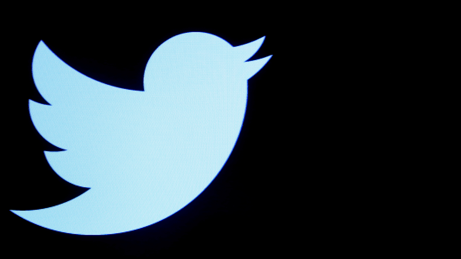 Twitter’s Head of Trust and Safety Says She Has Resigned
