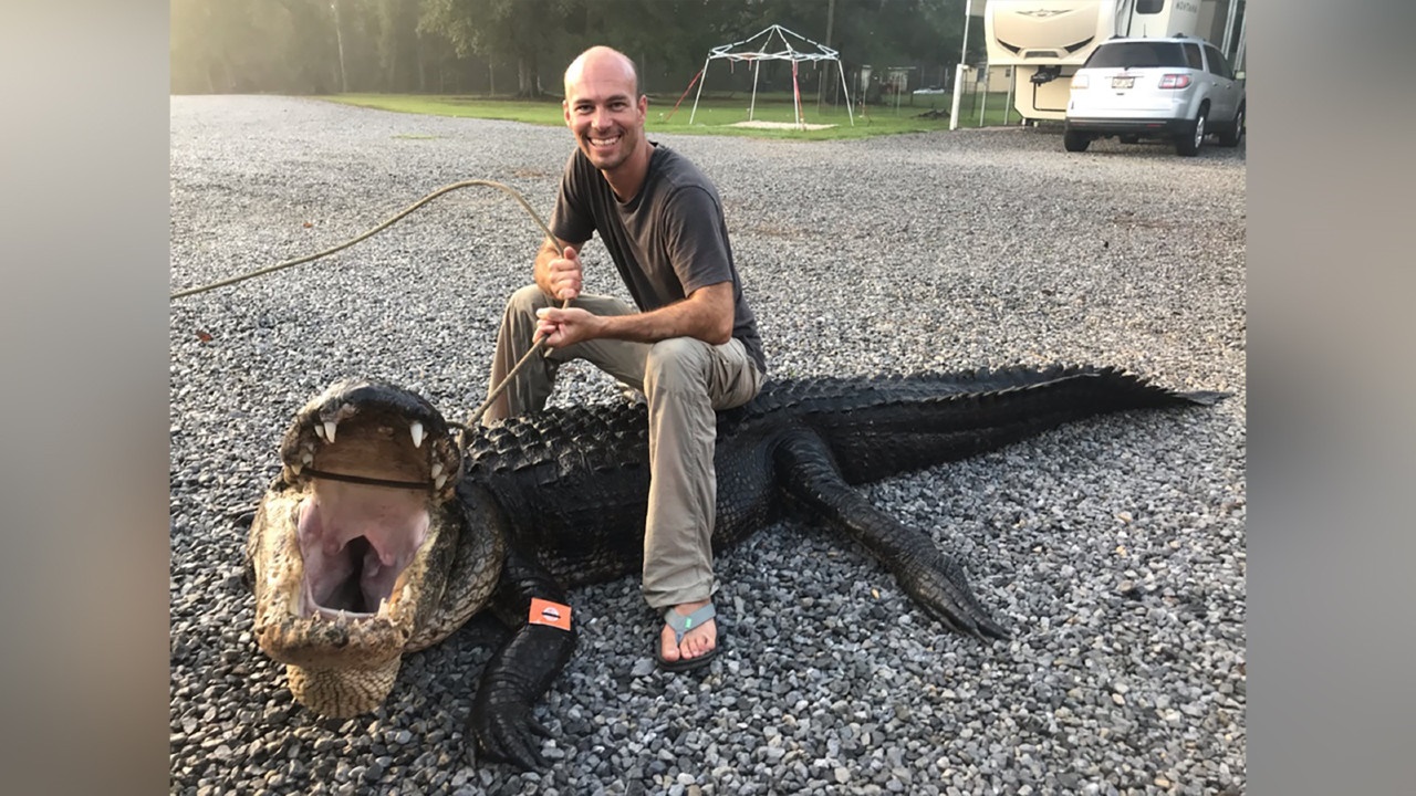 2 Mississippi Boaters Reel In a Massive One-Eyed Alligator Weighing Over 470 Pounds