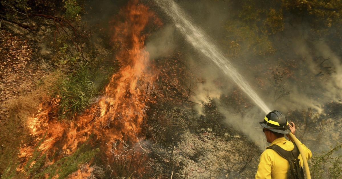 Firefighter Dies Battling Wildfire Sparked By Gender Reveal | NTD