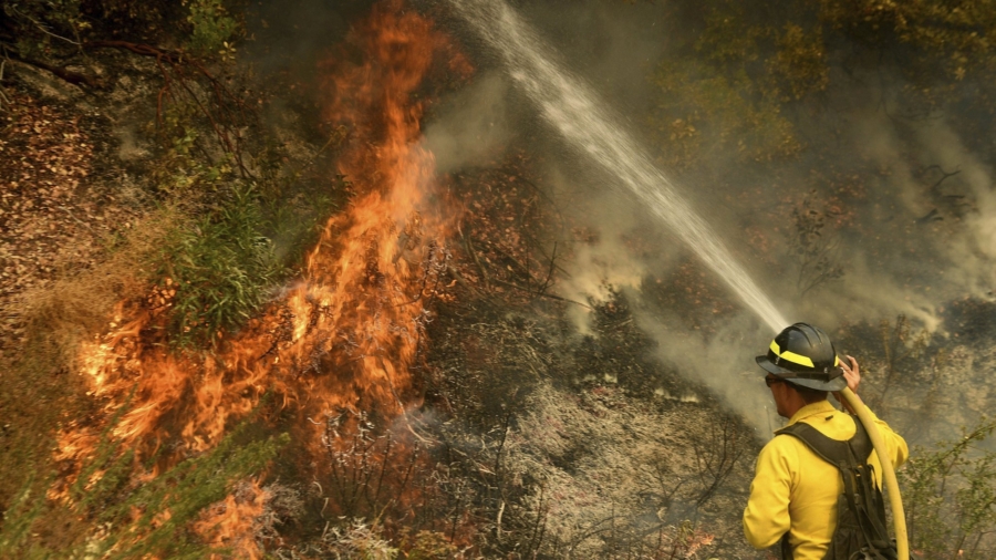 Firefighter Dies Battling Wildfire Sparked by Gender Reveal