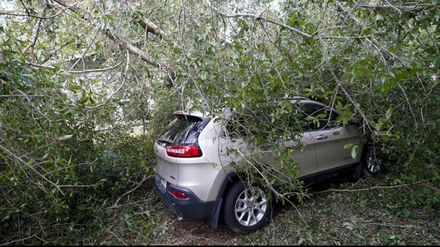 Florida, Alabama Residents Clean Up Damage After Hurricane Sally