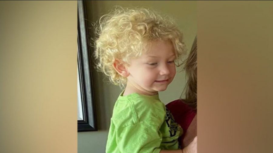 2-Year-Old Boy Disappears From Idaho Neighborhood, Massive Search Underway