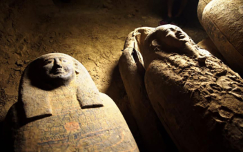 13 Mysterious Mummies Discovered in Egyptian Well