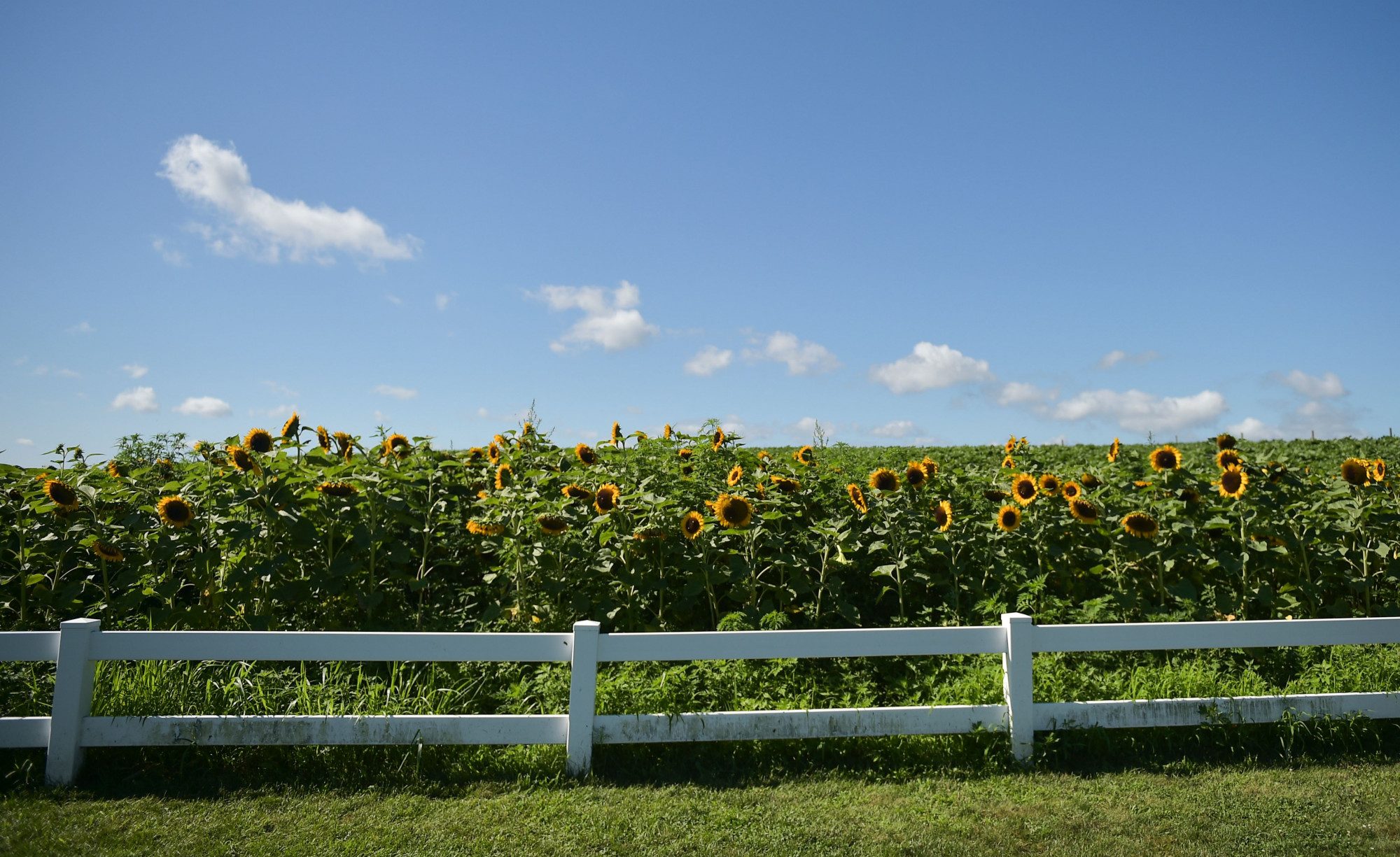 Is Now a Good Time to Invest in Farmland?
