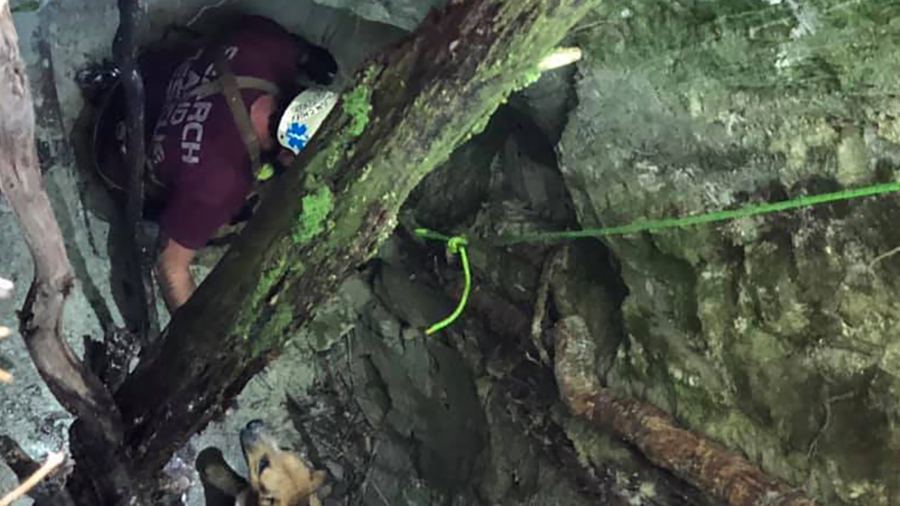 Dog Trapped in 30-foot Hole Lured to Safety With Beef Jerky