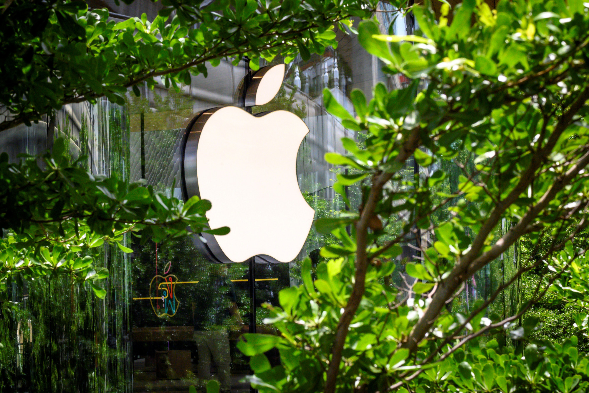 Apple Drops Chinese Component Supplier