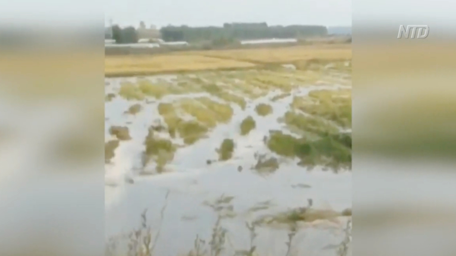 Dam Collapses in Northeast China