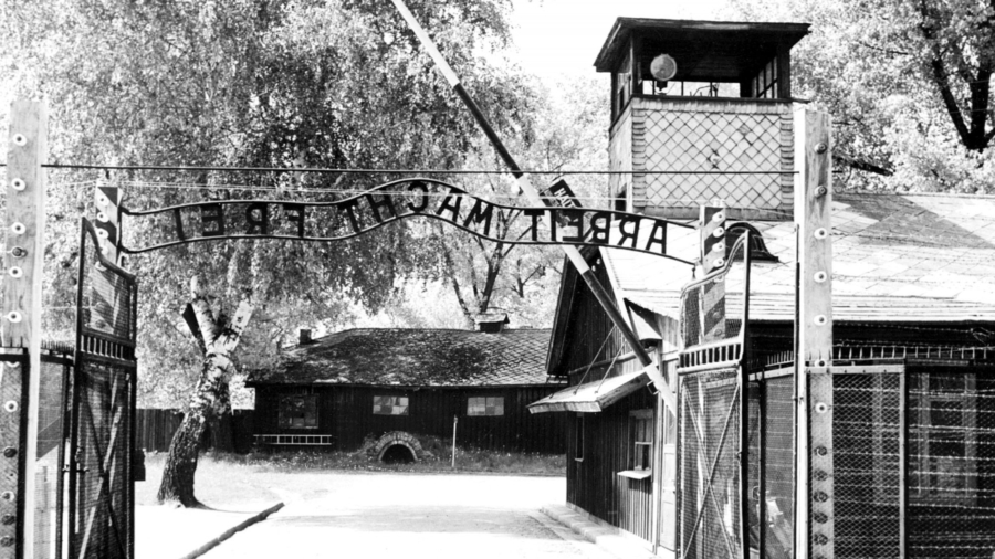 Many Youth Uneducated on the Holocaust: Survey