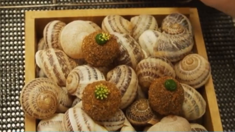 A Wild Gastronomy Chef Shares His Secrets