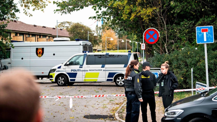 Danish 'Submarine Killer' Briefly Escapes