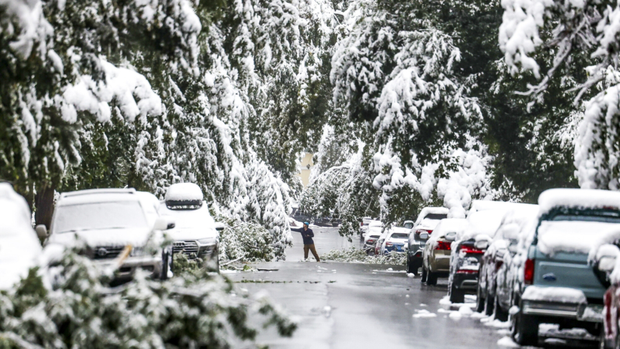 Early Season Winter Storm Could Cover Many States in Snow or Ice