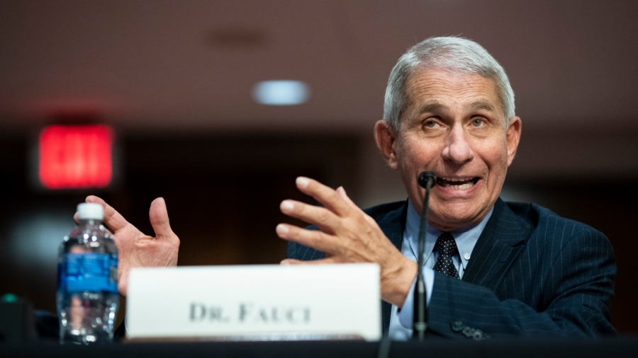 White House: Fauci Is Playing Politics Over Biden Virus Remarks Ahead of Election