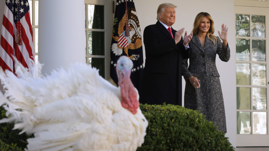 Trump, First Lady Pardon National Thanksgiving Turkey at White House
