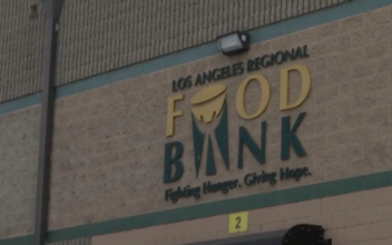 Food Bank Demand Surges for Thanksgiving