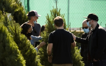 Los Angeles Residents Shop for Christmas Trees