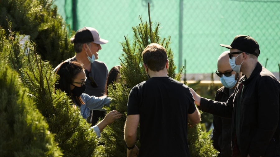 Los Angeles Residents Shop for Christmas Trees