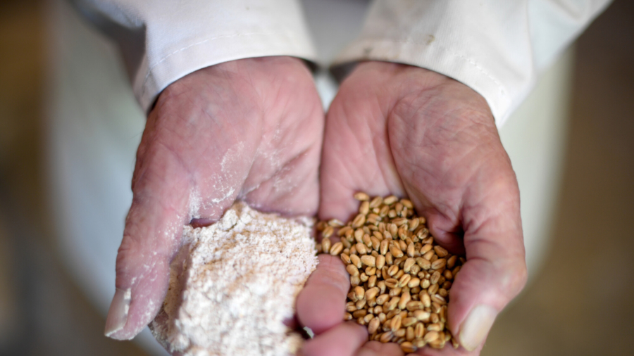 300-Year-Old Watermill Grinds Flour Again
