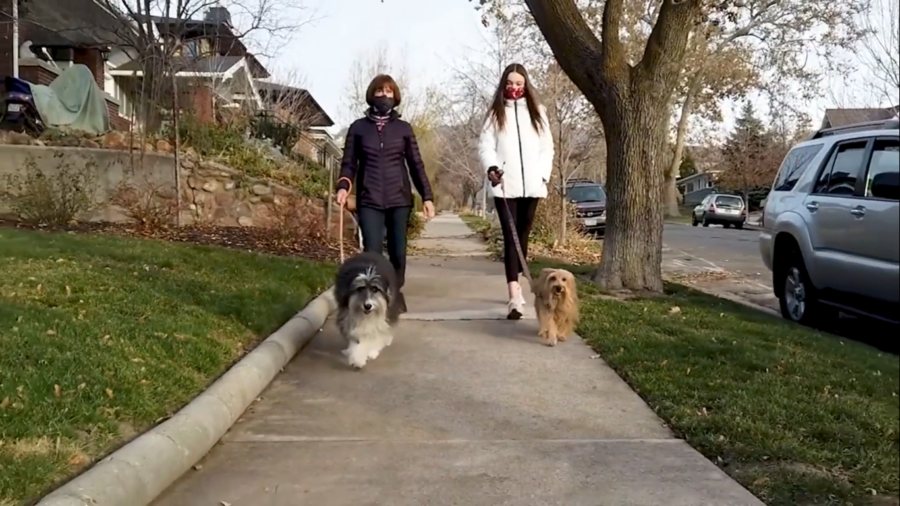How Pets Can Help With 2021 Resolutions