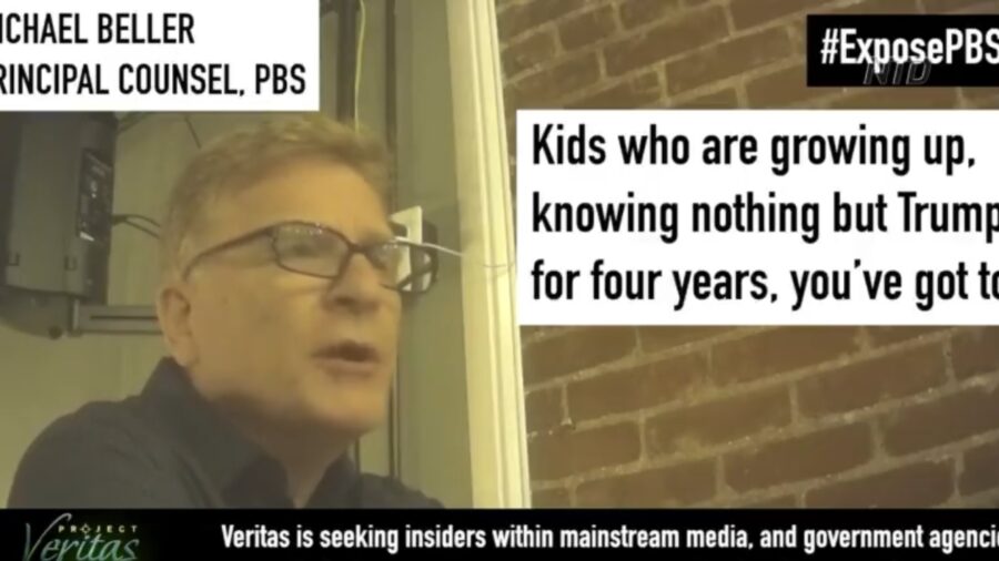PBS Counsel Lays Out Radical Leftist Plan
