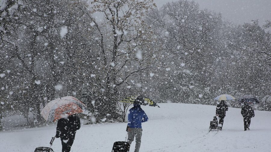 More Than 150,000 Customers Left Without Power in Texas and Louisiana as Major Snowstorm Moves Across the South