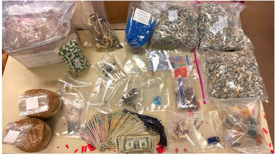Man Arrested Over DMT Lab, Drug Bust Nets Over $1 Million in ‘Dangerous Narcotics’