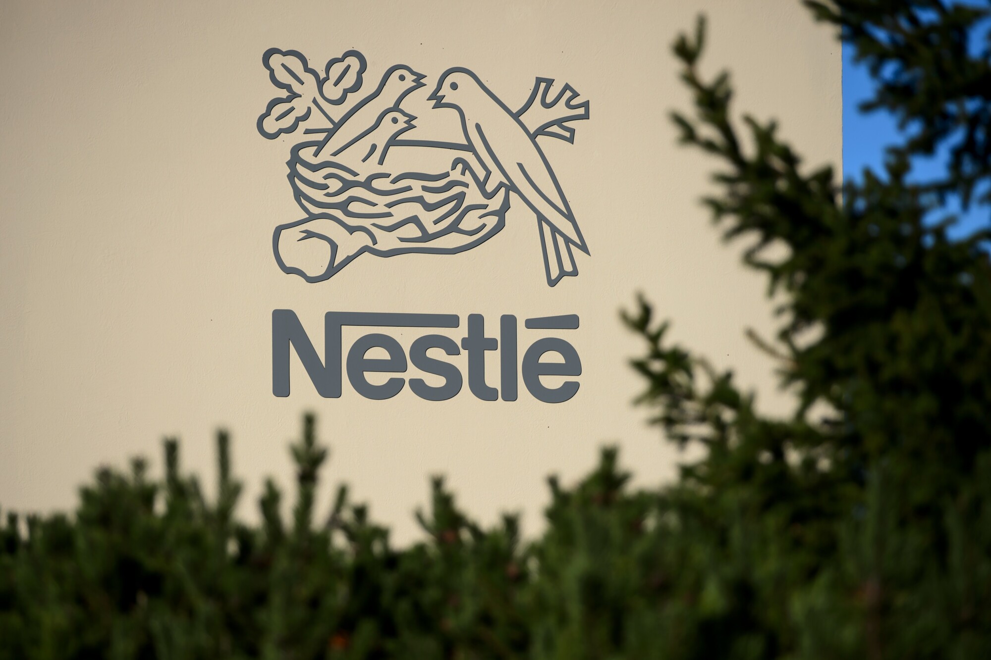 Nestlé Recalls 762,000 Pounds of Pepperoni Hot Pockets