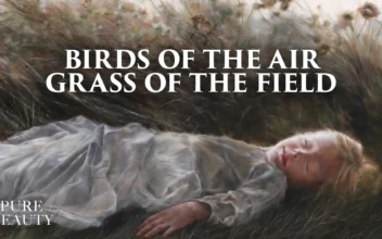 Pure Beauty: ‘Birds of the Air, Grass of the Field’