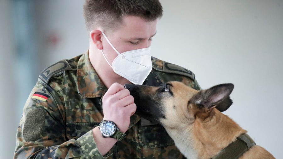 German Sniffer Dogs Detect COVID-19 With 94 Percent Accuracy