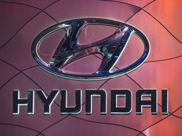 The Hyundai car logo on display during the AutoMobility LA event, at the 2019 Los Angeles Auto Show in Los Angeles, California on November 21, 2019. (Mark Ralston/AFPvia Getty Images)