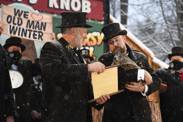 Punxsutawney-Phil