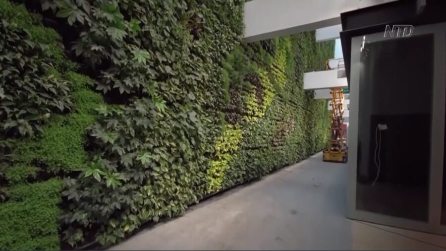 Largest Vertical Garden in Europe