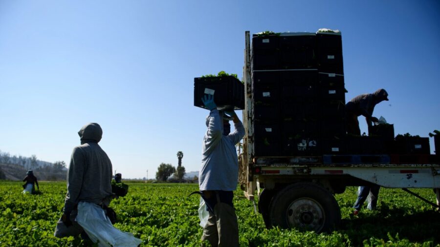 California Plan to Pay Farmers for Growing Less