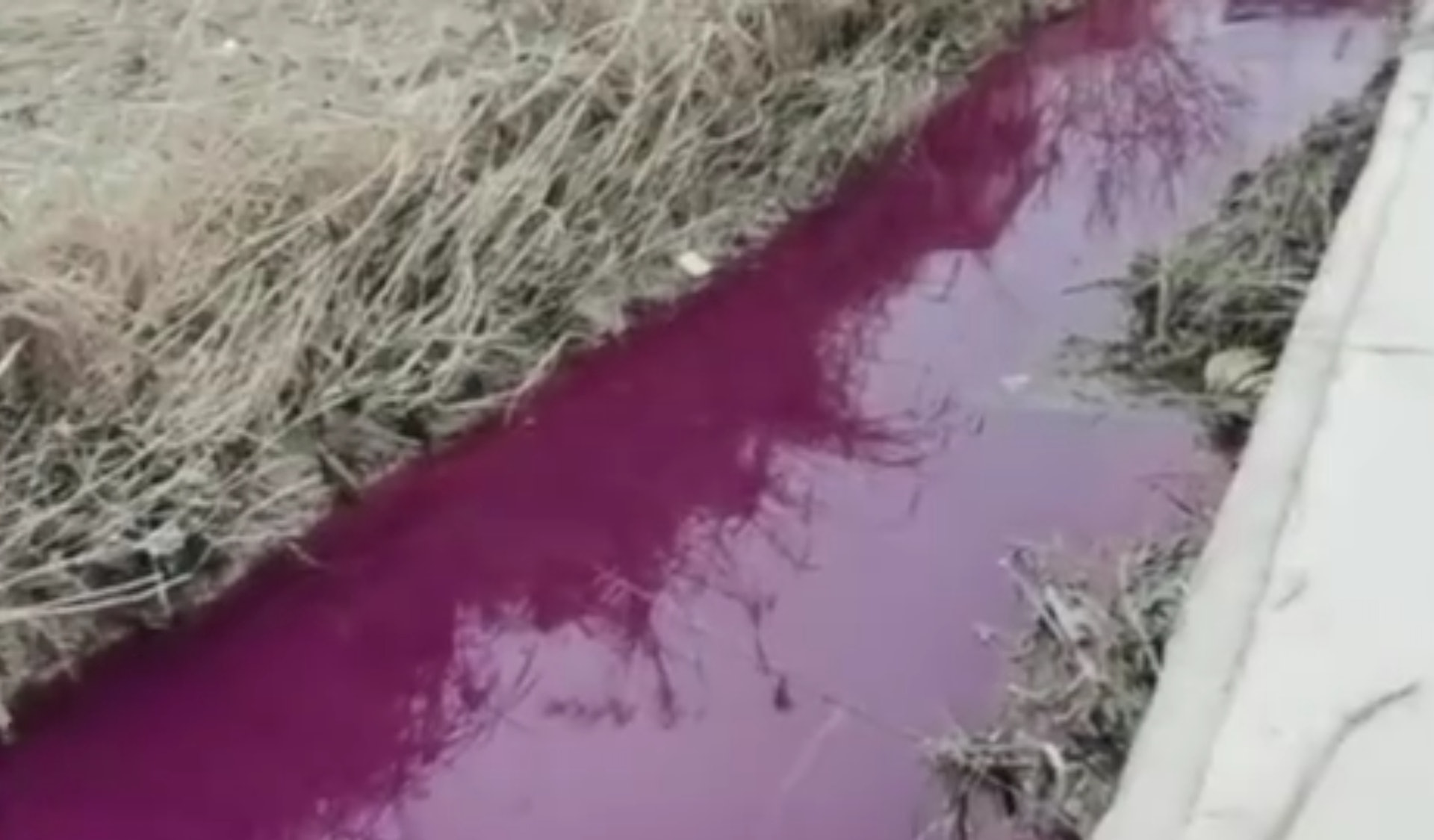 Chinese Rivers Turn Red Amid Pollution NTD   Red River 