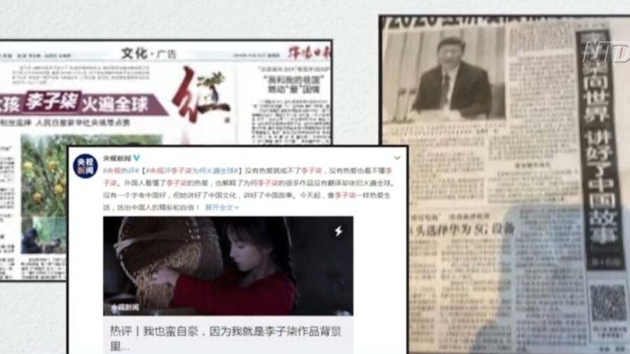 Chinese Online Celebrity Faces Food Safety Scandal