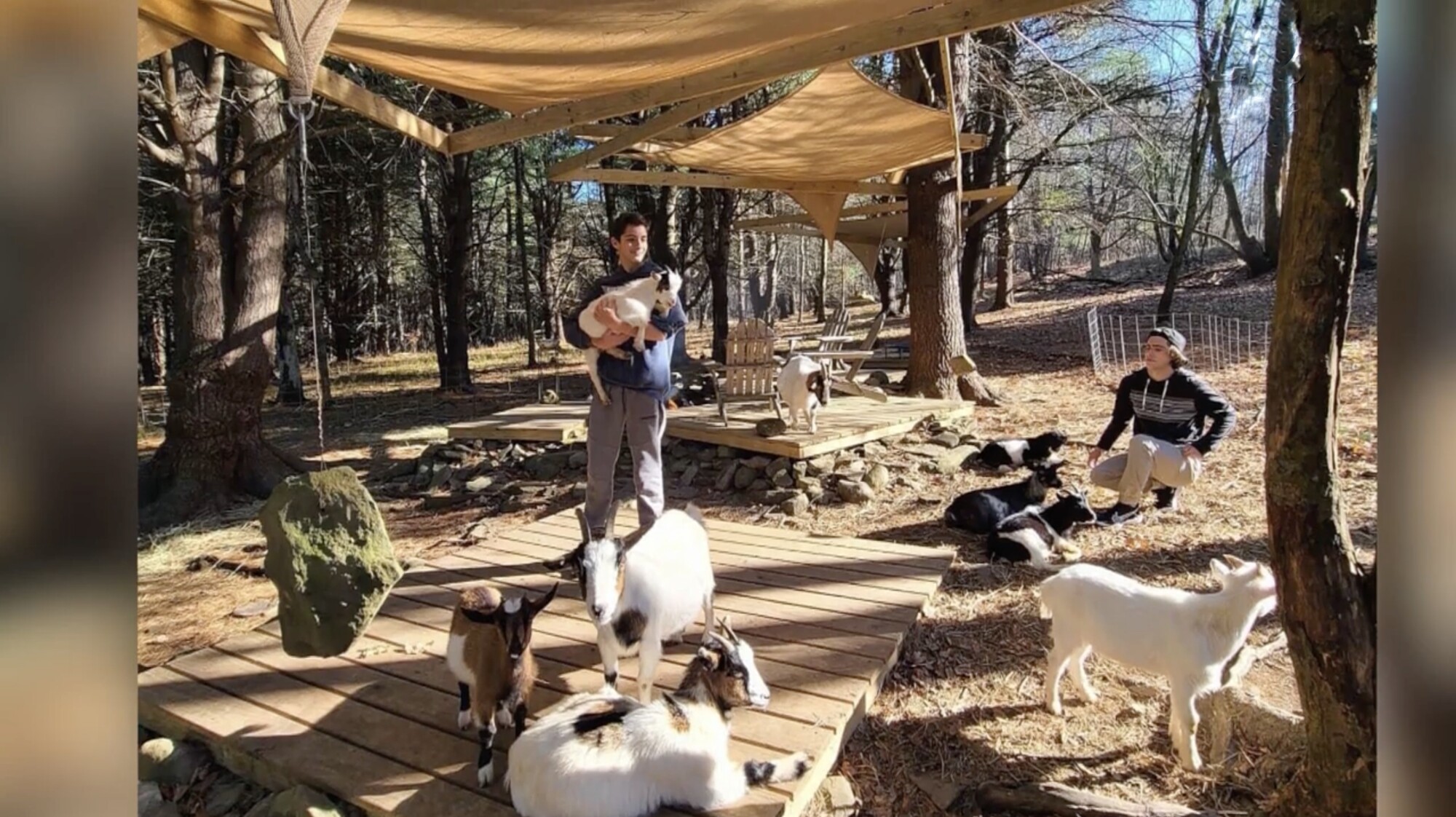 Treehouse Airbnb on a Goat Farm