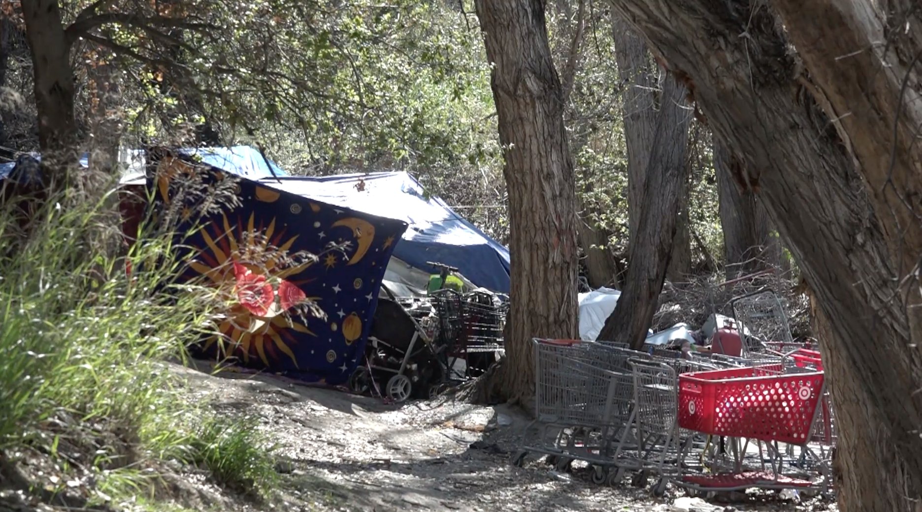 Homeless Camps Cleared for Trail Safety