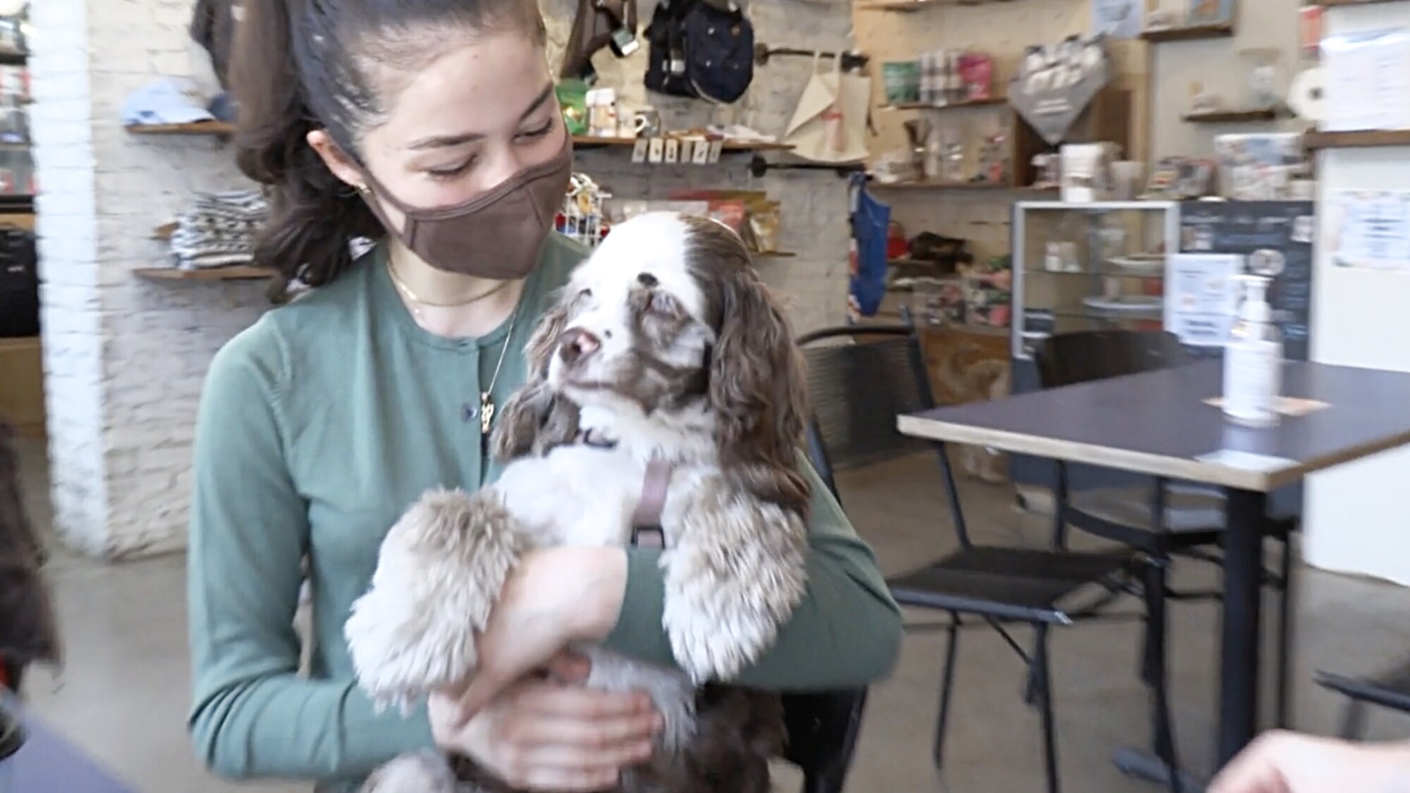 Dog Coffee Shop Celebrates National Puppy Day by Extending Hours