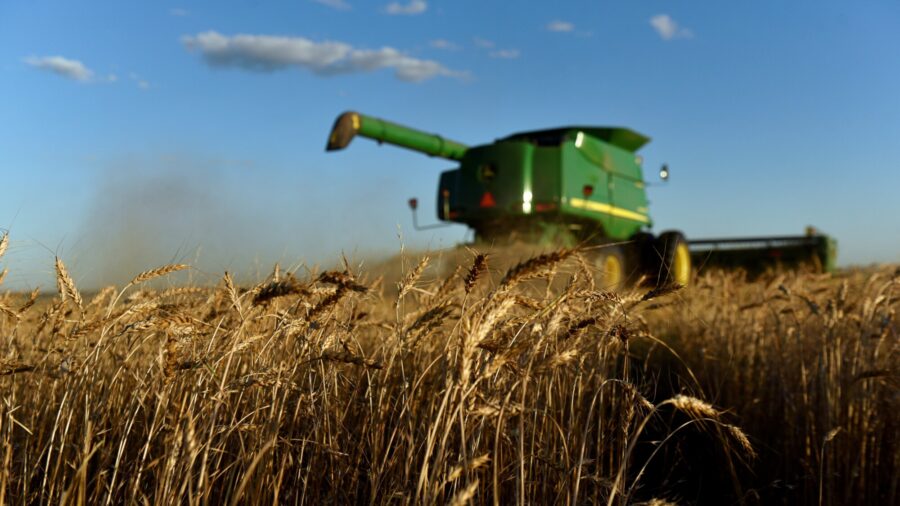US White Wheat Growers Cash In As China Snaps Up Supplies