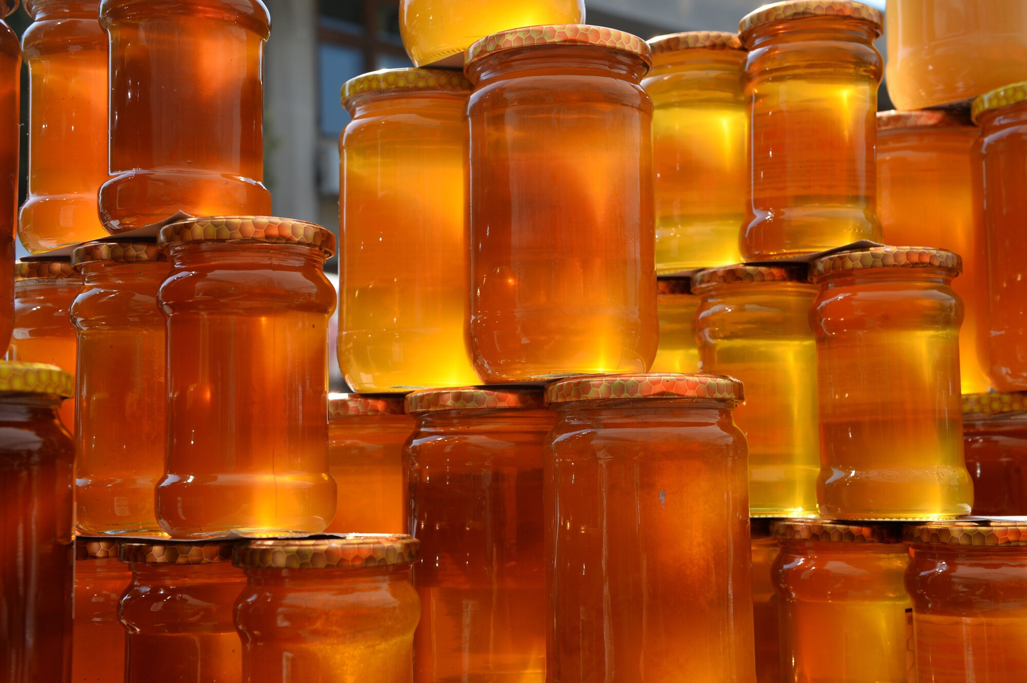 War in Ukraine Threatens Honey Industry