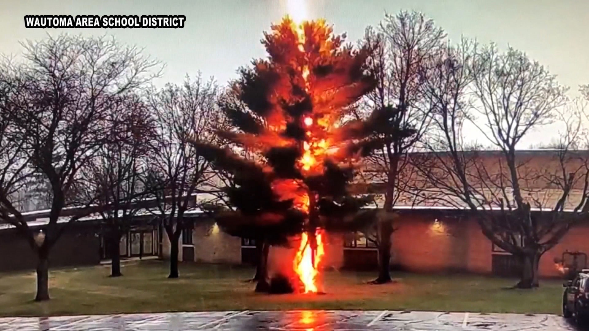 Video Shows Lightning Shatter a Tree Outside of a Wisconsin High School
