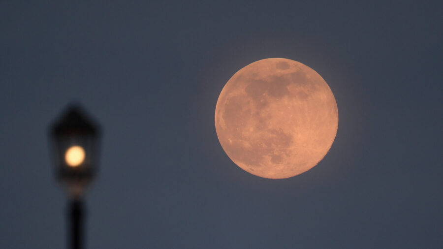 Pink Supermoon Seen From Around the World